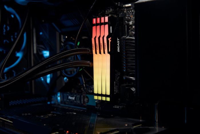 Пам'ять ПК Kingston DDR5 32GB 5600 FURY Beast  RGB