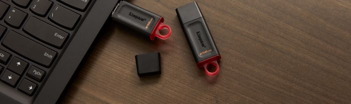 Kingston  256GB USB 3.2 Type-A Gen1 DT Exodia
