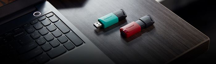 Накопичувач Kingston  256GB USB 3.2 Type-A Gen1 DT Exodia M