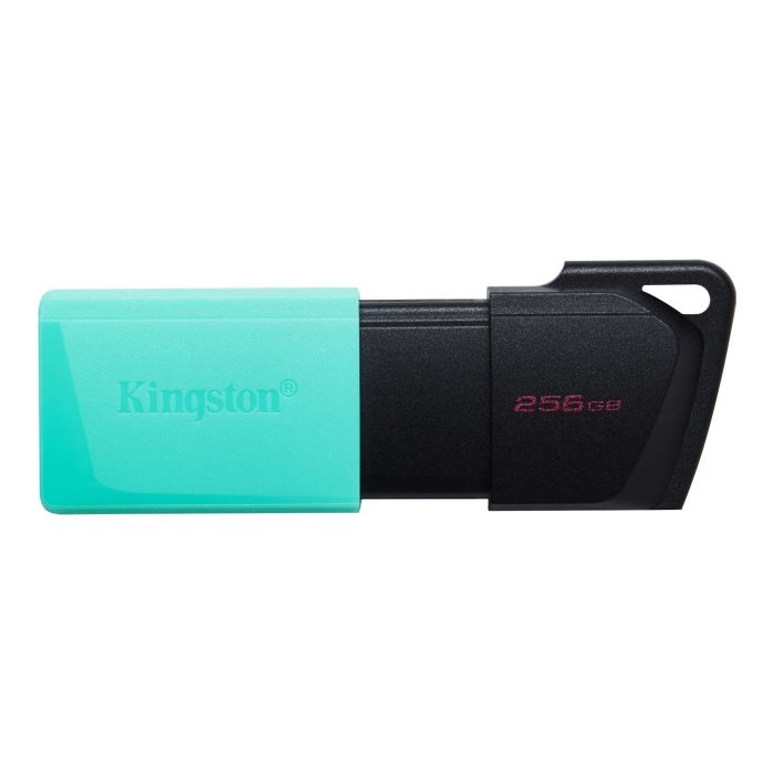Накопичувач Kingston  256GB USB 3.2 Type-A Gen1 DT Exodia M