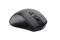 Mouse 2E MF213, WL, black