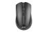 Mouse 2E MF217, WL, black