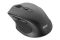 Миша 2E MF240 Silent, WL, чорний