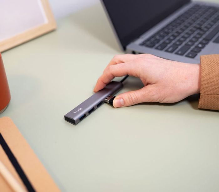 Хаб Trust Halyx USB-С > 4xUSB-А 3.2, Алюміній, 0.1м, Сірий