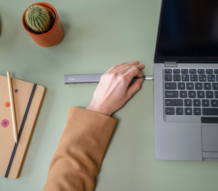 Хаб Trust Halyx USB-С > 4xUSB-А 3.2, Алюміній, 0.1м, Сірий