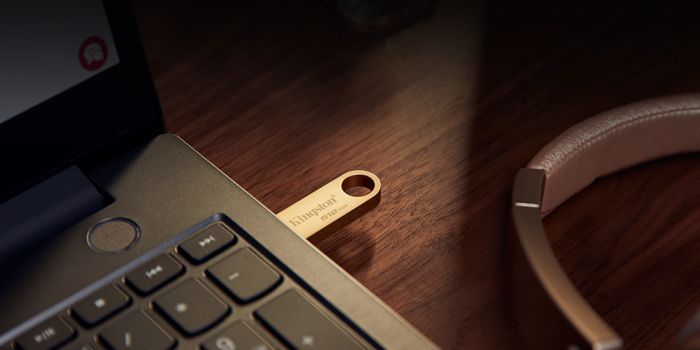 Накопитель Kingston  256GB USB 3.2 Type-A Gen1 DT SE9 G3