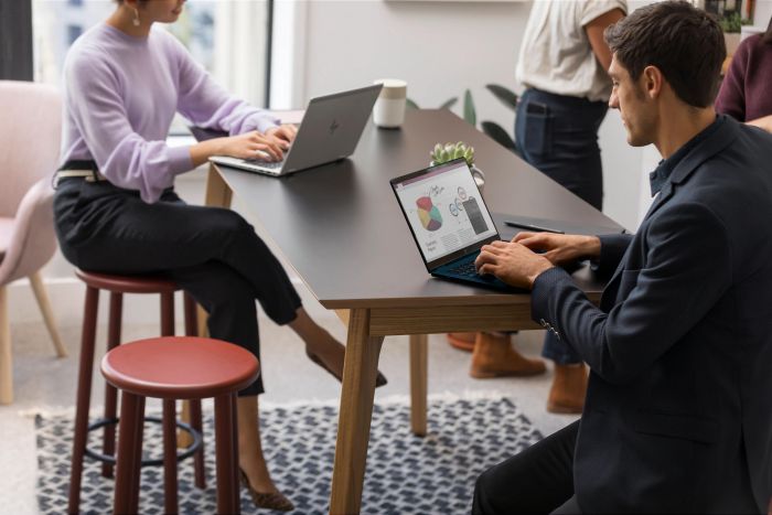 Ноутбук HP EliteBook 865-G10 16" WUXGA IPS AG, AMD R7-7840U, 16GB, F1024GB, UMA, Win11P, серебристый