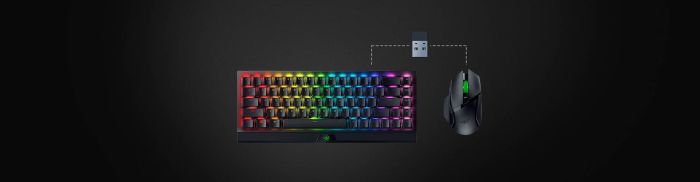 Мышь Razer Basilisk V3 X HyperSpeed, RGB, WL/BT, чёрный