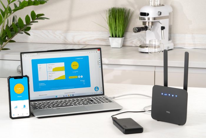 Router TCL LINKHUB (HH42CV2) LTE, Wi-Fi4, 1xFE LAN/WAN, 1xFE LAN, 2xSMA, Black + Power Bank 20000mAh + USB-DC cable 5V-12V