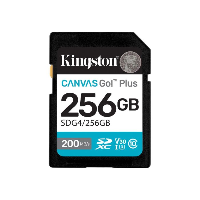 Карта памяти Kingston SD  256GB C10 UHS-I U3 V30 R200/W160MB/s
