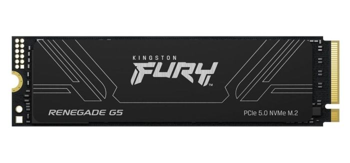 SSD Kingston M.2 4TB PCIe 5.0 FURY Renegade