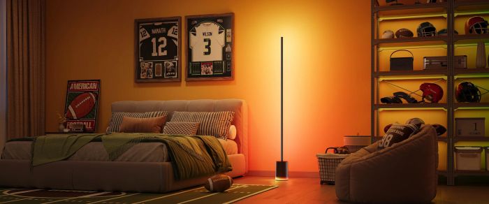 Govee RGBICWW Floor Lamp
Support Matter