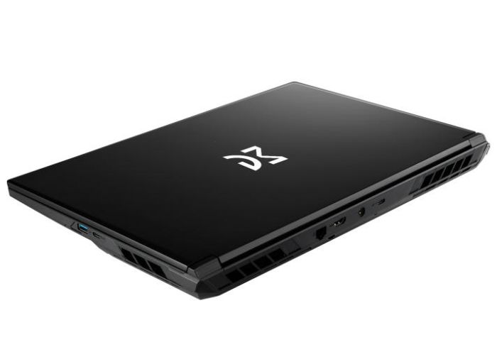 Dream Machines Notebook RG5070-17 17.3FHD IPS, Intel i9-14900HX, 32GB, F1TB, NVD5070-8, DOS, black