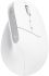 Мышь Trust Bayo+ Multidevice Ergonomic, BT/WL/USB-A, біла