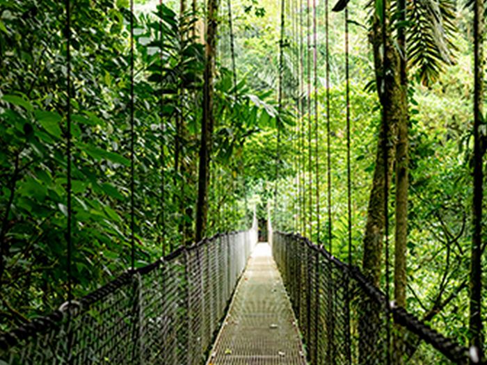 HP Notebook Probook 4-G1a 14" WUXGA IPS, AMD R7-250, 16GB, F512GB, UMA, Win11P, silver