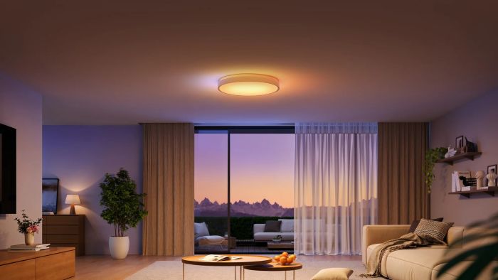 Потолочный свитильник Govee 38cm Smart Ceiling Light Pro, RGBICWW, WI-FI/Bluetooth, білий