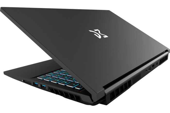 Dream Machines Notebook RG3050-15 15.6FHD IPS, Intel i7-13620H, 32GB, F1TB, NVD3050-4, DOS, black