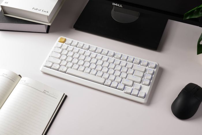 Mechanical keyboard Keychron J1 82Key, K pro Banana, WL/BT/USB-A, QMK, Hot-swap, EN/UKR, RGB, white