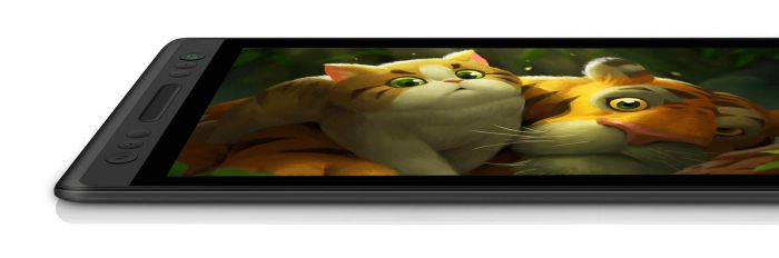 Графічний монітор Huion 13,3" Kamvas Pro 13, USB-C,чорний