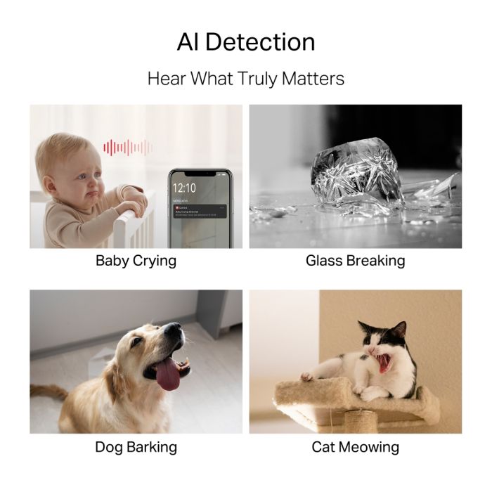 IP-Камера MERCUSYS  5MP N300 microSD motion detection. AI Mercusys MC230