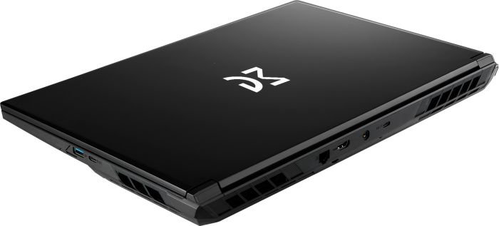 Dream Machines Notebook RG5070-17 17.3QHD IPS, Intel i9-14900HX, 32GB, F1TB, NVD5070-8, DOS, black