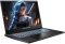 Dream Machines Notebook RG5050-17 17.3FHD IPS, Intel i5-13420H, 16GB, F512GB, NVD5050-8, DOS, black